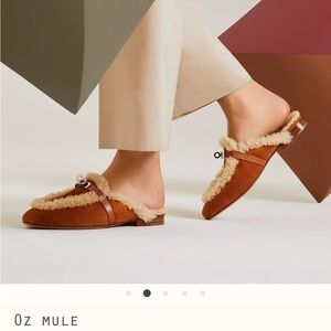 Hermes Oz Mule